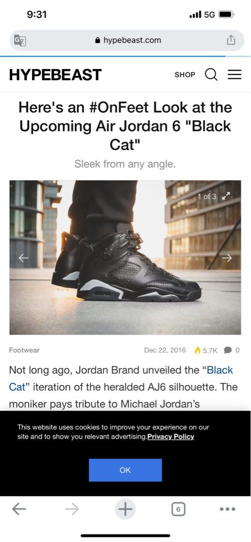 Air Jordan 6 six Black Cat michael 11 12 13 14 VI
