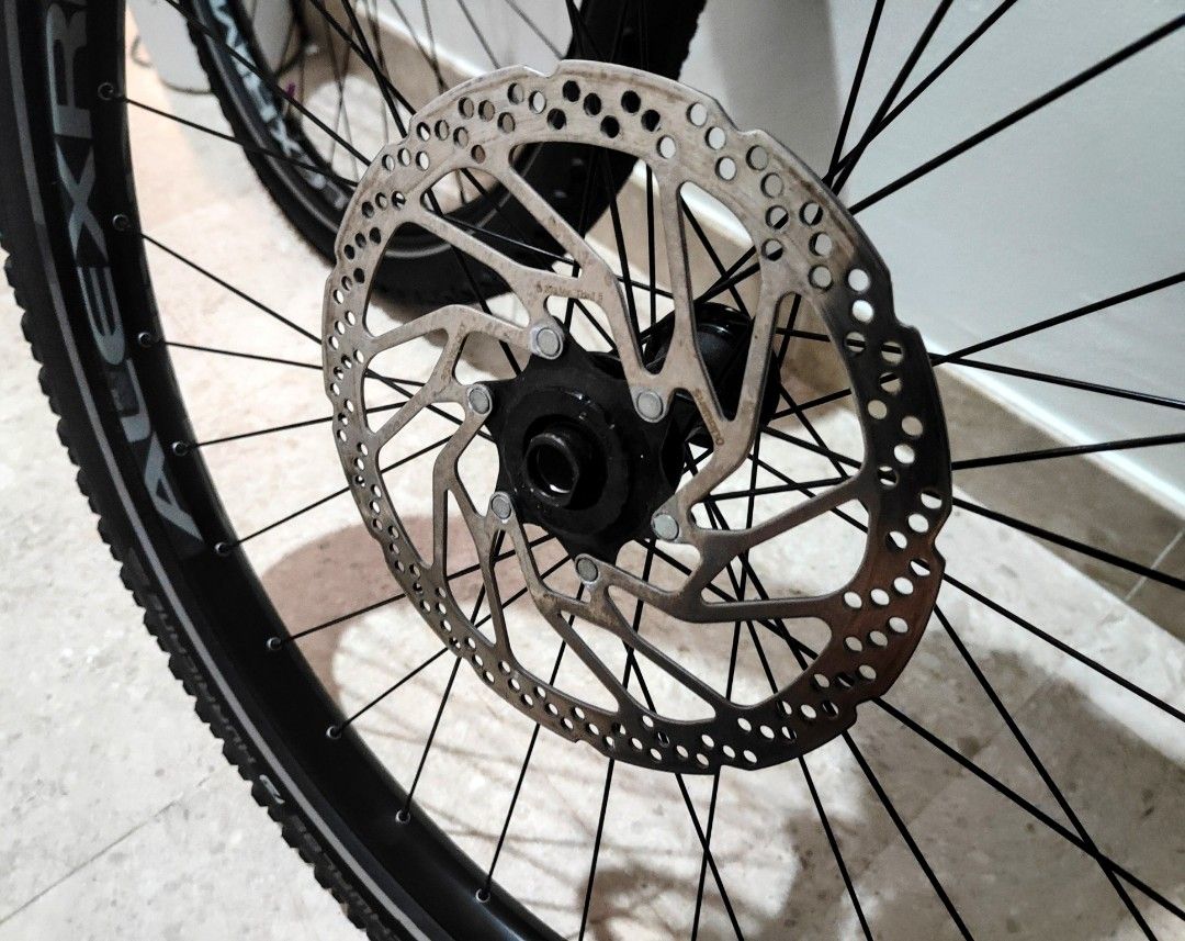 Alex Rims 29er wheelset w/ almost new tyres., Sports Equipment ...