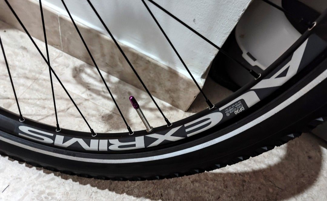 Alex dp30 rims 2025
