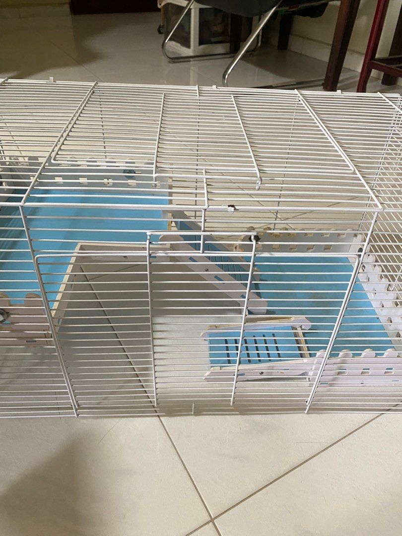 Stunning Large Scale Hamster Cage With Multiple Levels image