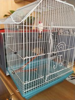 (Category: ) located in . Submitted by malakhalish (Listing ID 1237239422, Image 1). Description: .