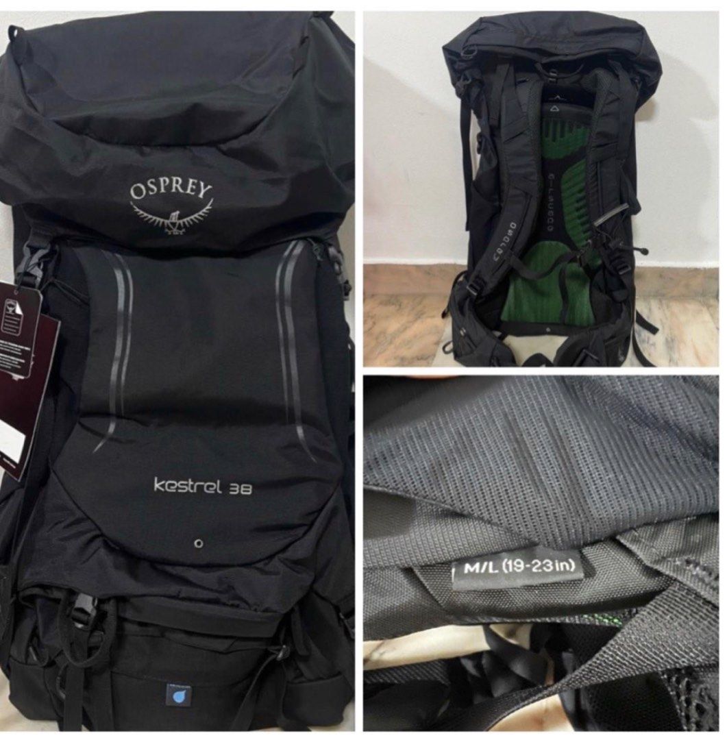 Osprey kestrel hot sale 38 picholine green