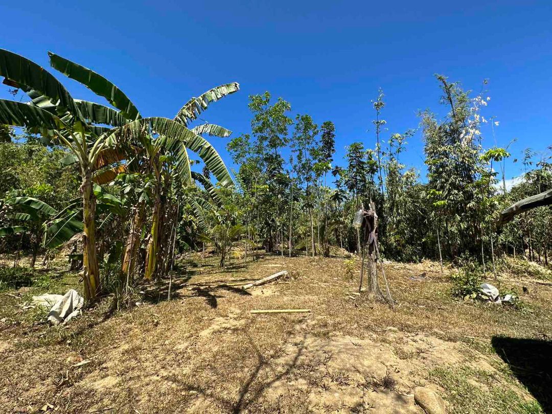 Dona Remedios Trinidad (DRT) Bulacan on Carousell