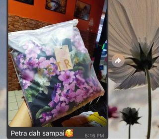 Feedback Petra