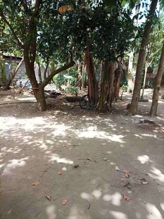 FOR SALE! 6,592sqm Farm Lot with fruit bearing trees at San Joaquin, Sto Tomas Batangas on Carousell