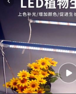 （分類：）位於 。 由 o_achan 提交（商品編號 1021726252，圖片 1）。簡介： 。