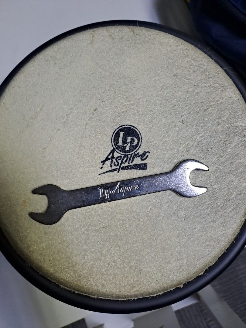 LP Aspire Bongo with stand, Hobbies & Toys, Music & Media, Musical