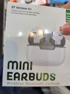 Nini earrbuds超迷你藍芽耳機，輕巧 順利音質不錯 打開幾乎沒啥用