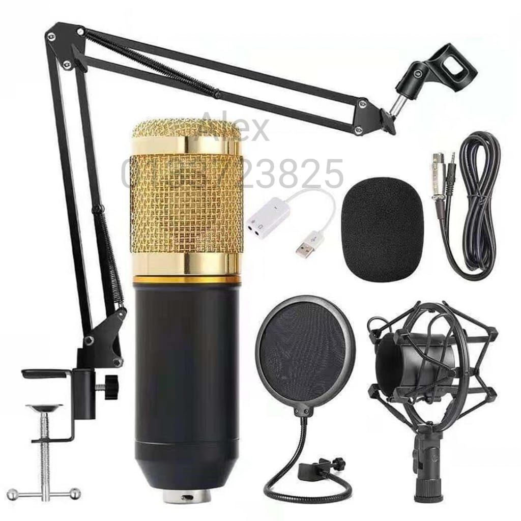 Professional Condenser Microphone With Patented Audio Reference