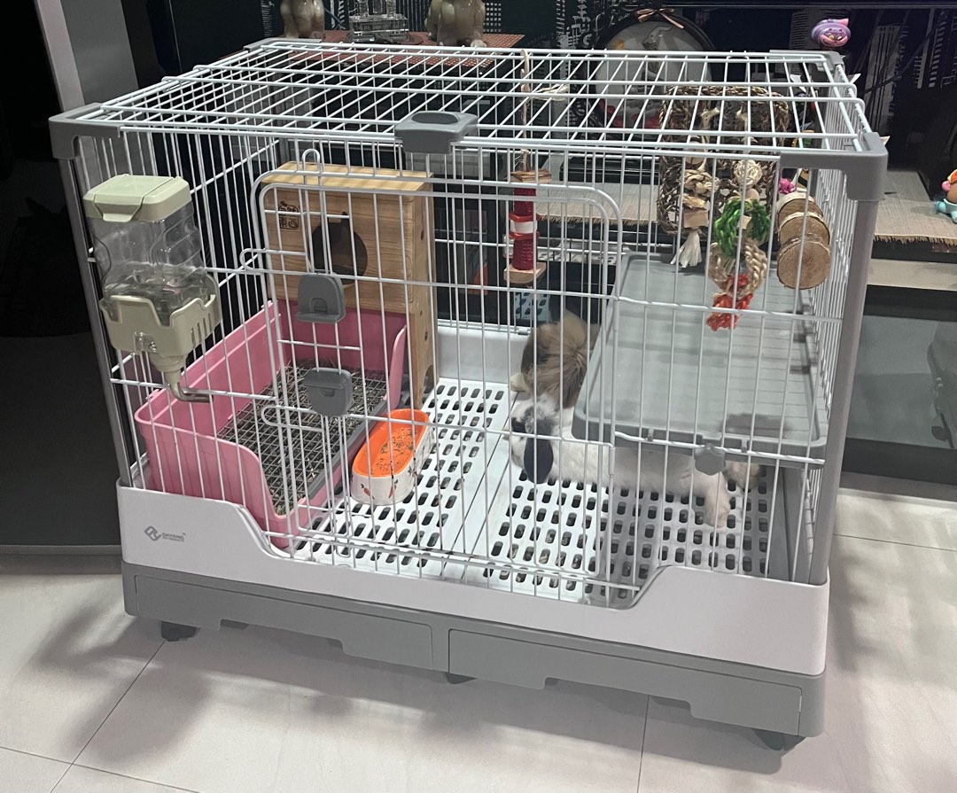 Rabbit cage, Pet Supplies, Homes & Other Pet Accessories on Carousell