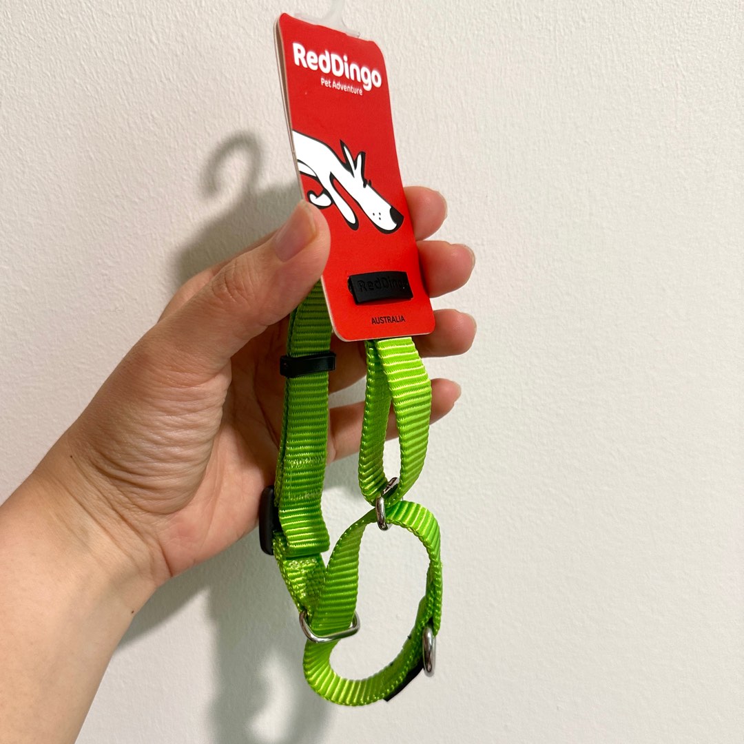 Red Dingo martingale collar Small Medium Pet Supplies Homes Other Pet Accessories on Carousell