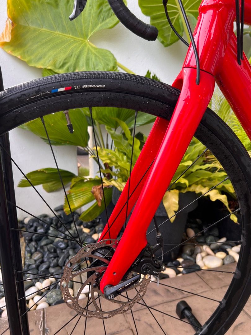 Trek domane al 2 for sale 2025