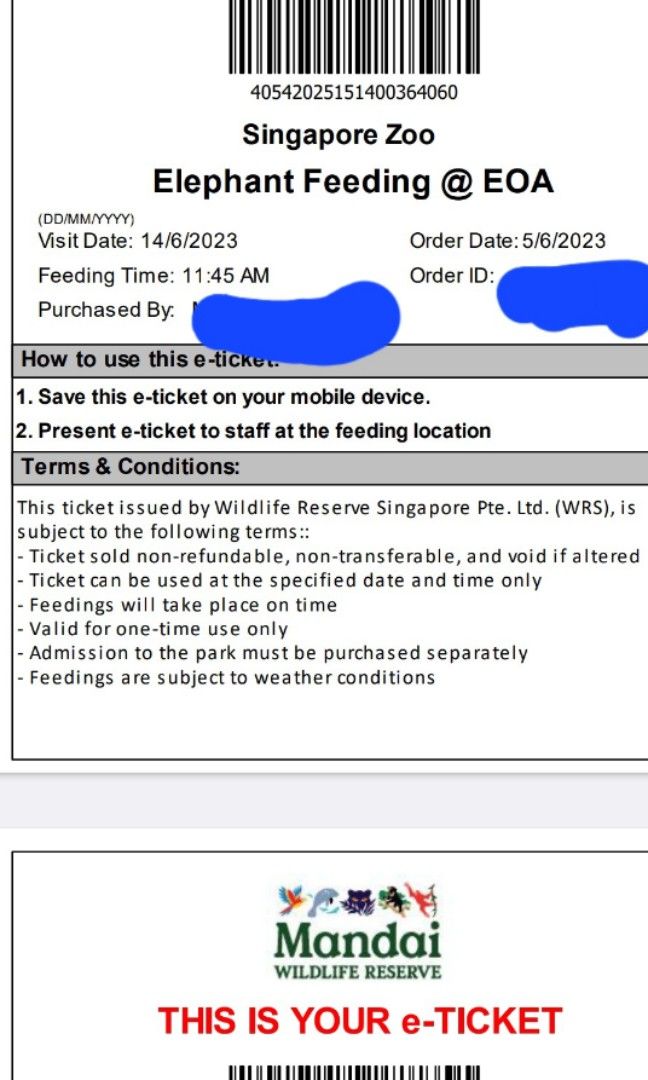 Singapore Zoo Elephant Feeding, Tickets & Vouchers, Local Attractions