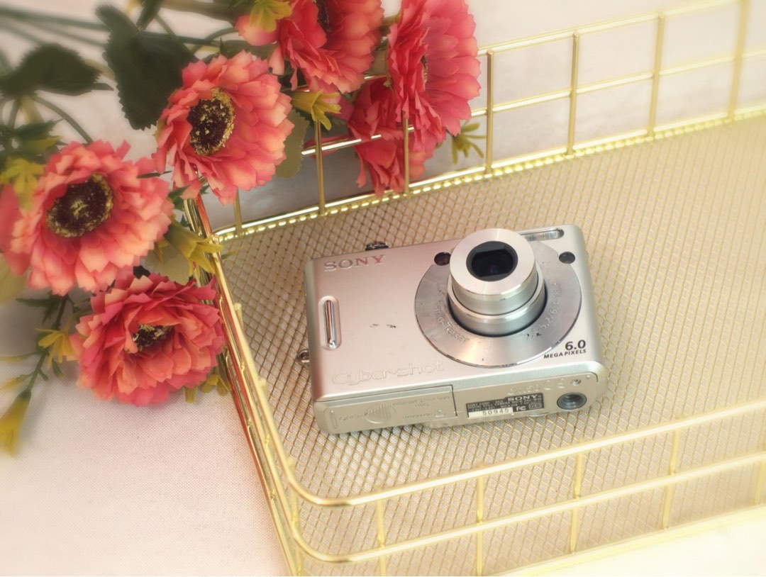Cámara Fotográfica Digital Sony Cyber-Shot DSC-W30, 6MP