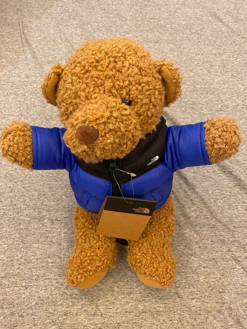 The north face teddy bear shop