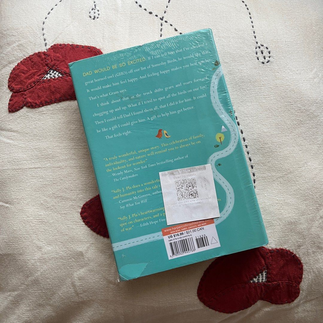 The Someday Birds Sally J. Pla Children's Book on Carousell