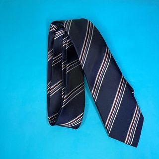 Armando Caruso Striped Necktie