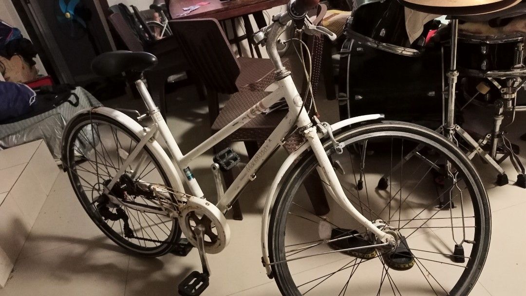 Bridgestone Mark Rosa 26