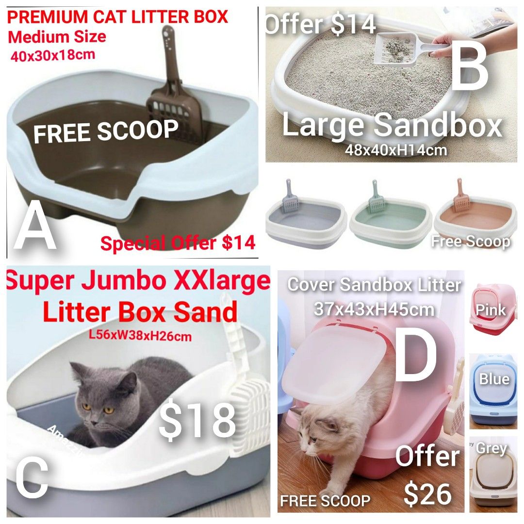 Cat supplies near me sales