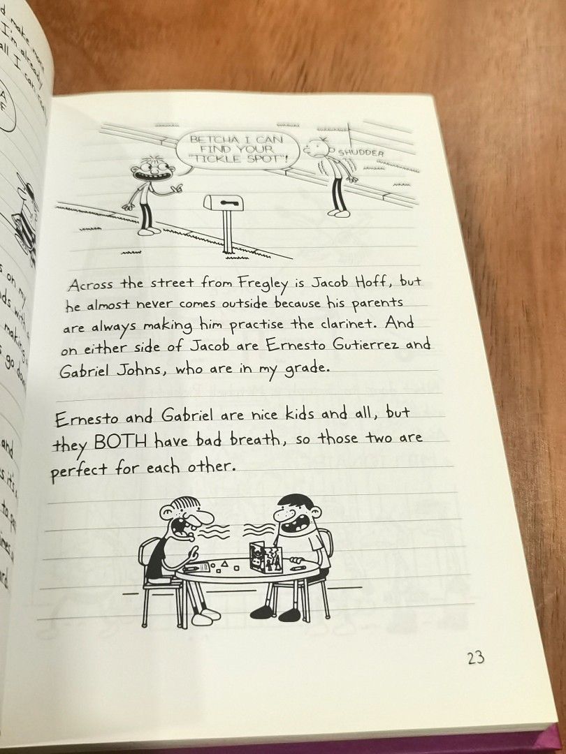 Diary Of A Wimpy Kid The Meltdown Children Comic Story Book, Hobbies