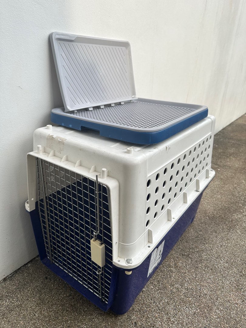 Dog Crate + Pee Tray, Pet Supplies, Homes & Other Pet Accessories on