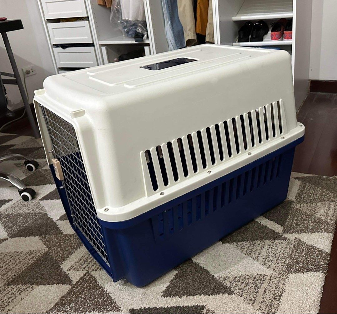 Dog Crate, Airline Approved, Size 4, XL Blue on Carousell
