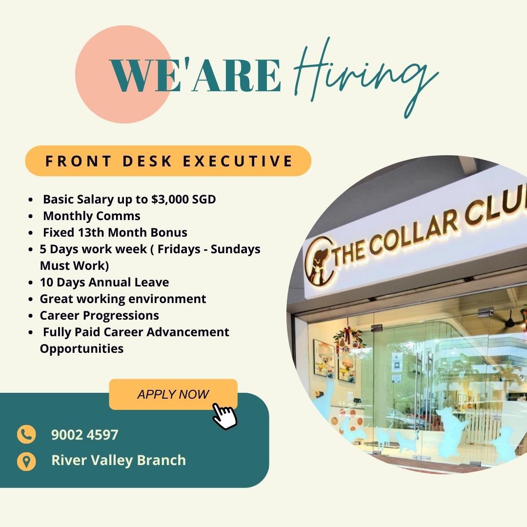 Front Desk Executive, Jobs, Sales, Retail & Marketing on Carousell