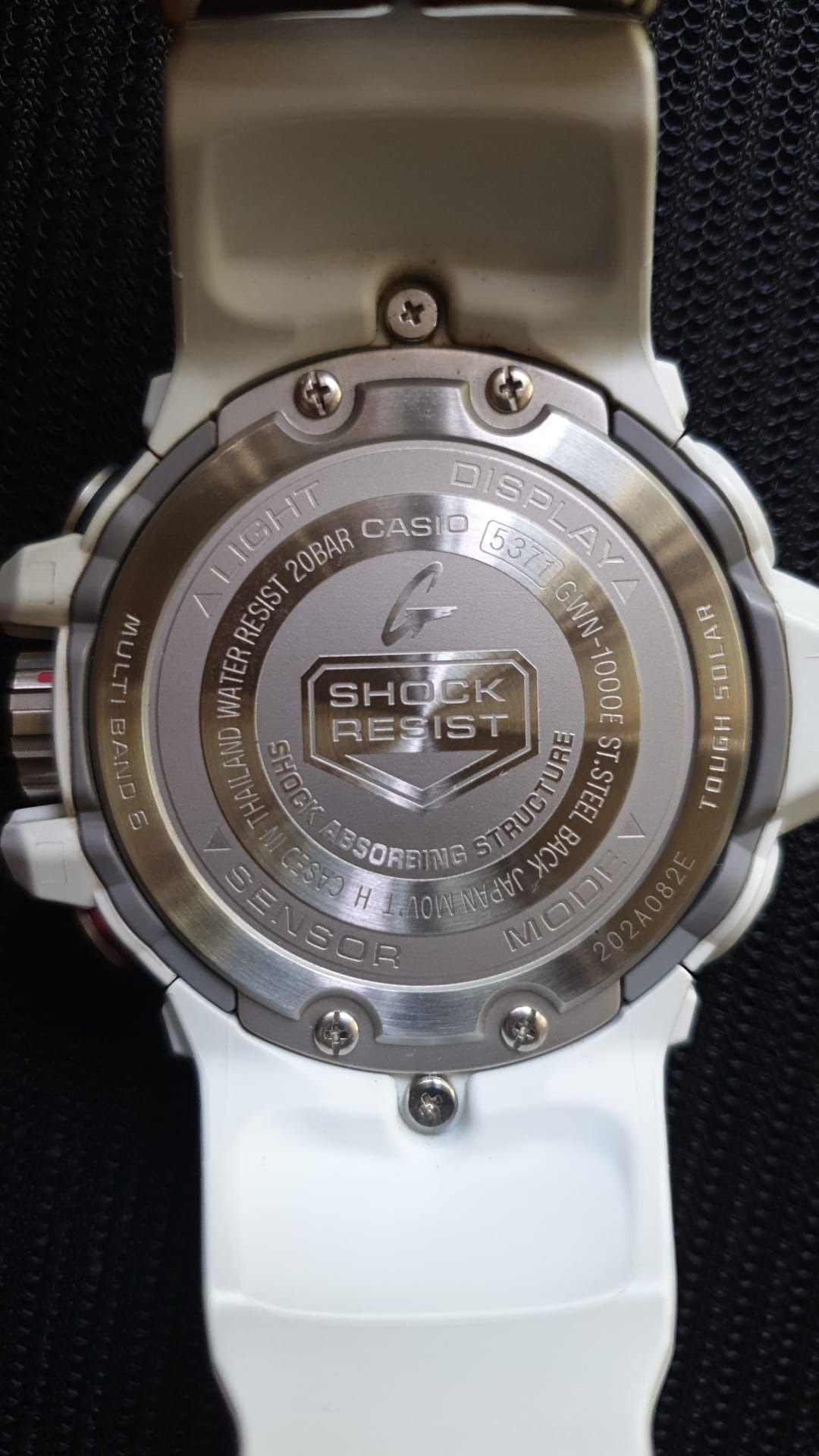 Gulfmaster white 2025