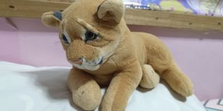 Lion Stuff toy