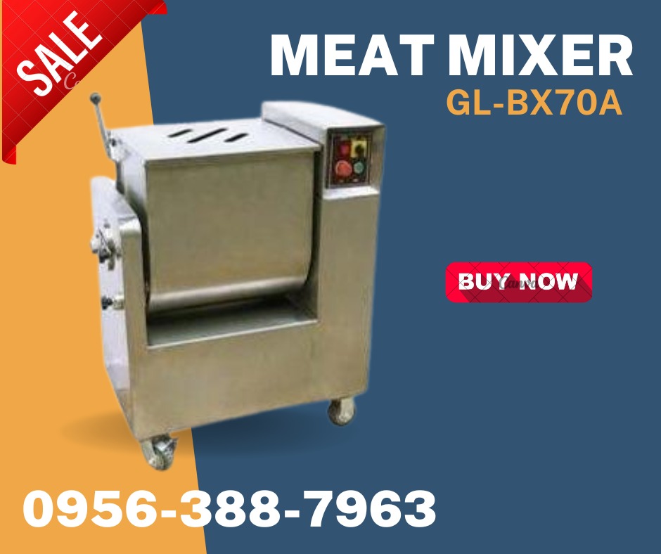 MEAT MIXER GLBX70A on Carousell
