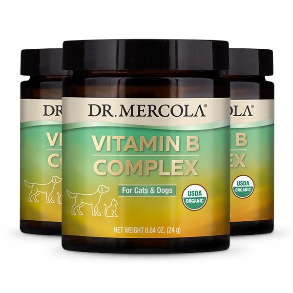 Dr mercola vitamin b complex cheap for pets