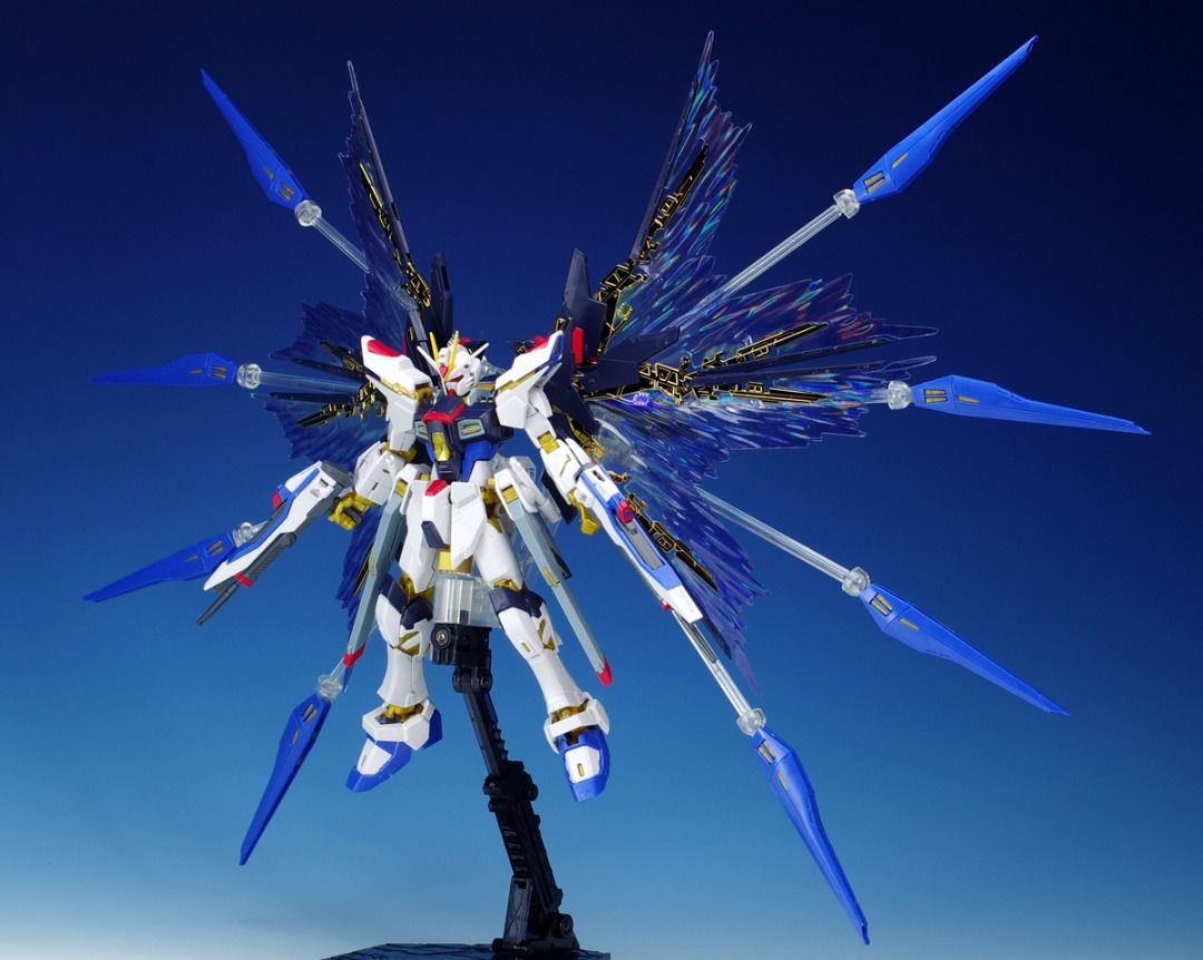 [NEW/RARE] RG Strike Freedom Gundam & Premium Bandai PB Effect Unit Wing of the Skies, Hobbies