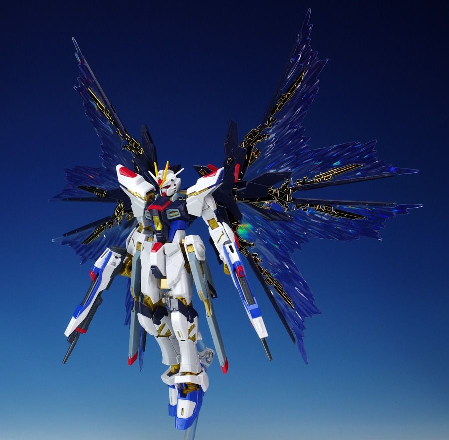 [NEW/RARE] RG Strike Freedom Gundam & Premium Bandai PB Effect Unit Wing of the Skies, Hobbies