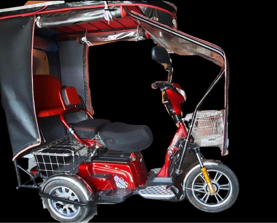 Nwow ebike with sidecar online