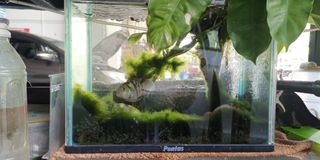 (Category: ) located in . Submitted by lee530950 (Listing ID 1237371311, Image 1). Description: .