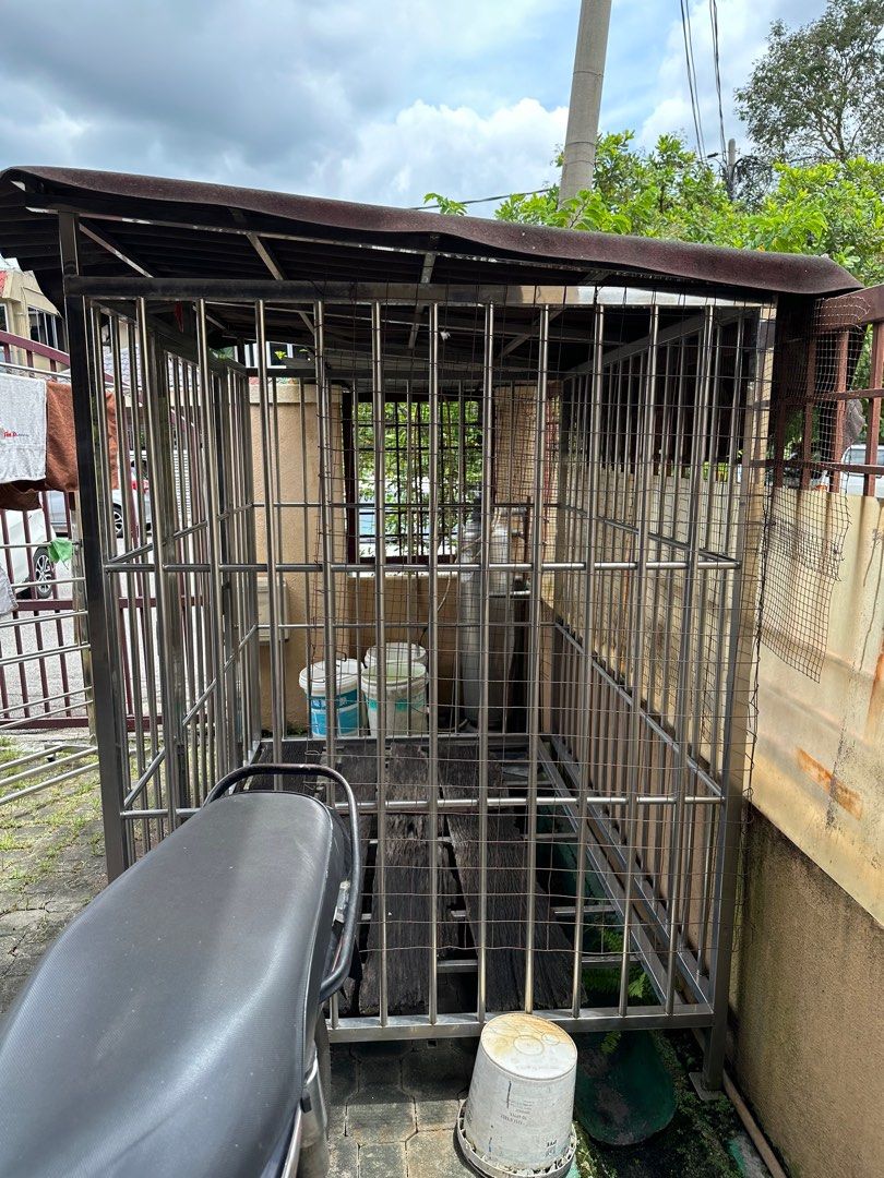 Stainless dog cage olx store