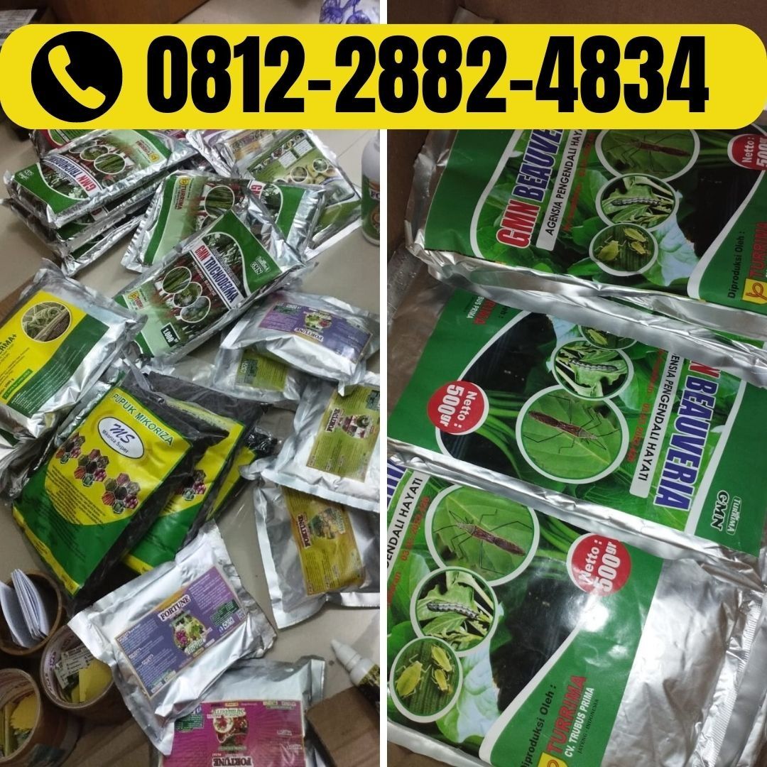 TERBAIK! 0812-2882-4834 Pusat Obat Perangsang Jambu DKI Jakarta,  Distributor Pupuk Jambu Biji Kembangan, Produsen Pupuk Jambu Bol Menteng,  Perkebunan di Carousell