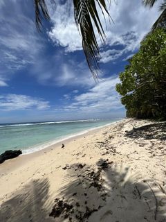 2.3 heactares and 2.5 hectares white sand beach in Baganga Davao Oriental