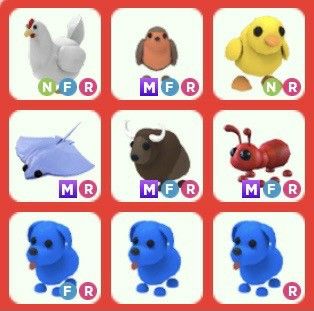 45 Adopt Me Pets NFR MFR For Sale [Slide] - Roblox
