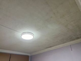 ⏰ 60min 🪄Mouldy Bedroom Ceiling Clean Disinfect Anti Mould Paint Service