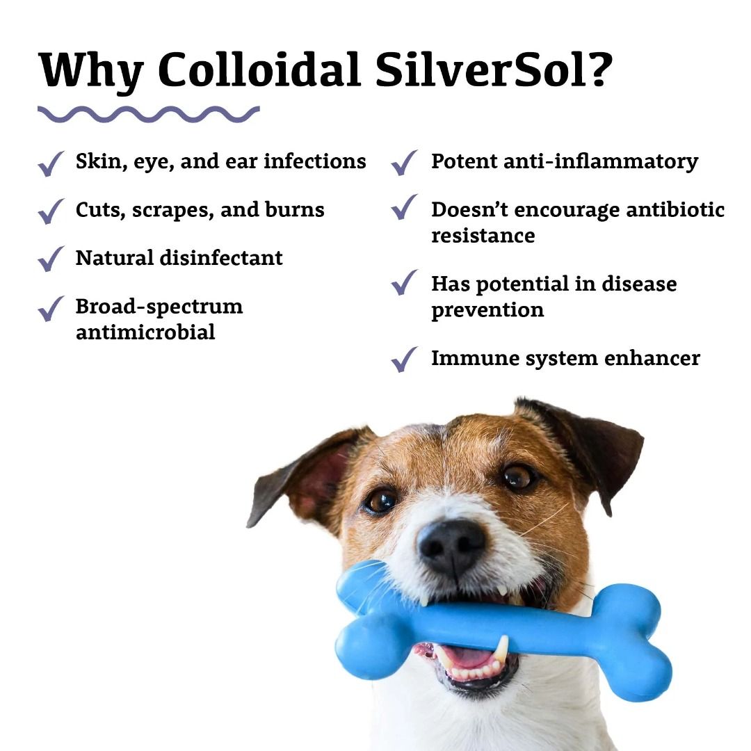 Holistic antibiotics best sale for dogs