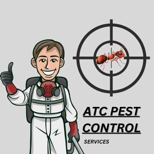 Atc pest control, Services, Others on Carousell