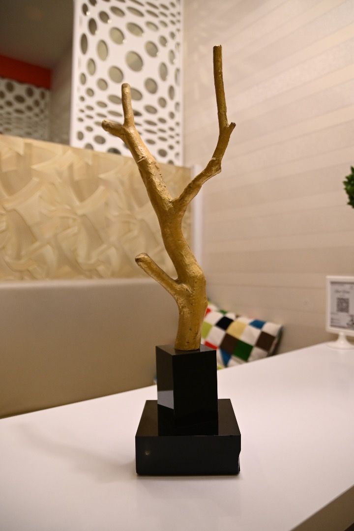 Gold Jewelry Tree White Jewelry Holder Black Jewelry Holder