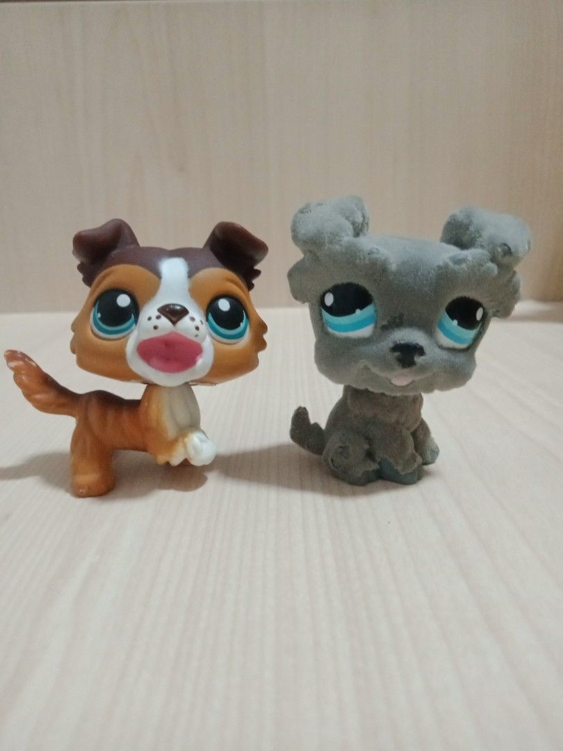Lps collie with mouth open clearance