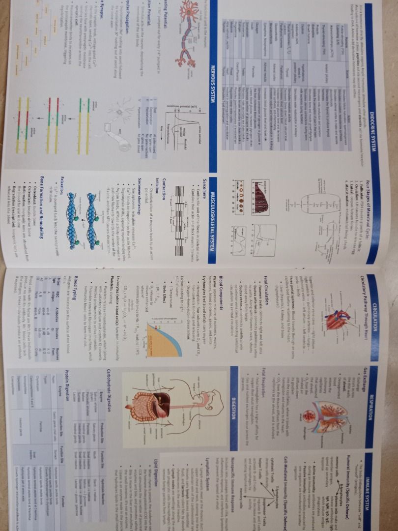 MCAT Kaplan Complete 7Book Subject Review + Quicksheets, Hobbies