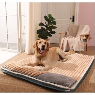 angmokio lick mat for dogs cats, dog cat lick mat dog yogurt