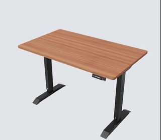 Stance Executive Electric Standing Desk Single Motor