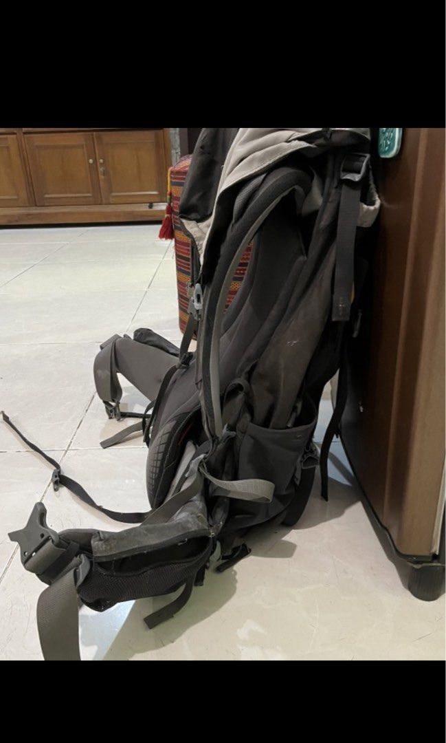 Carrier gregory baltoro outlet