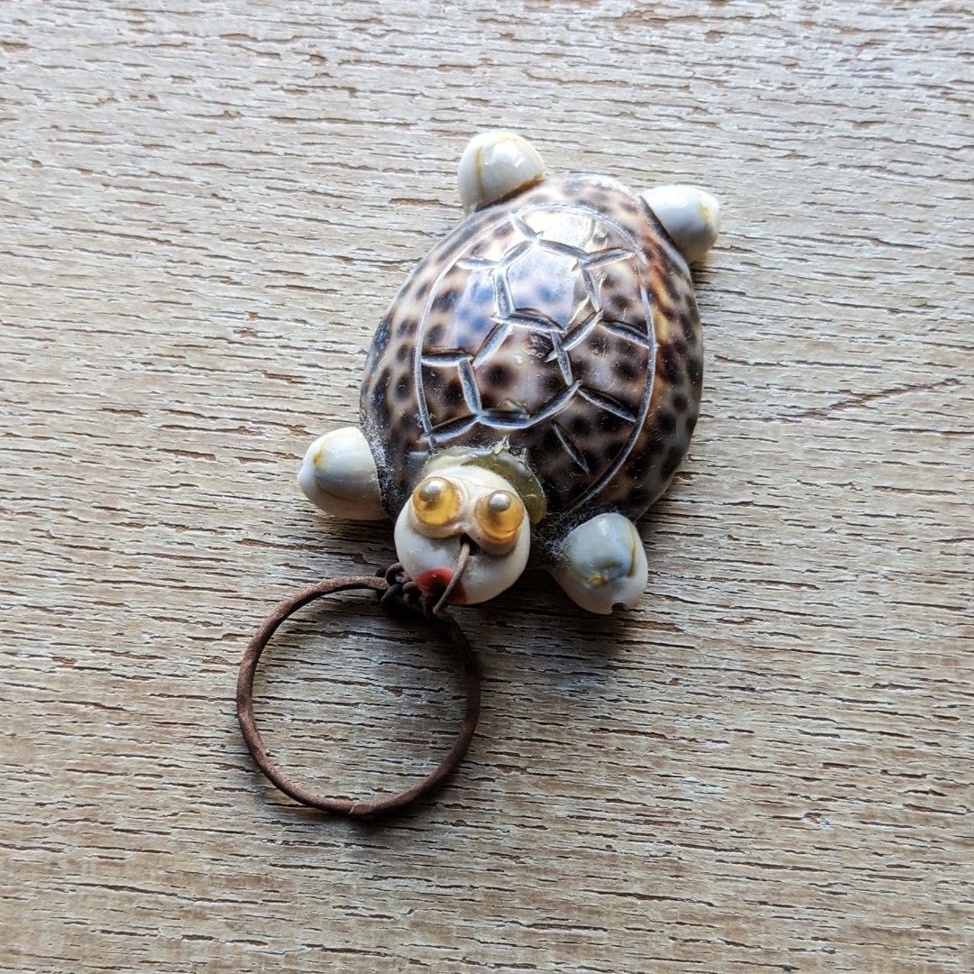 Turtle sea shells keychain, Hobbies & Toys, Art & Prints on Carousell