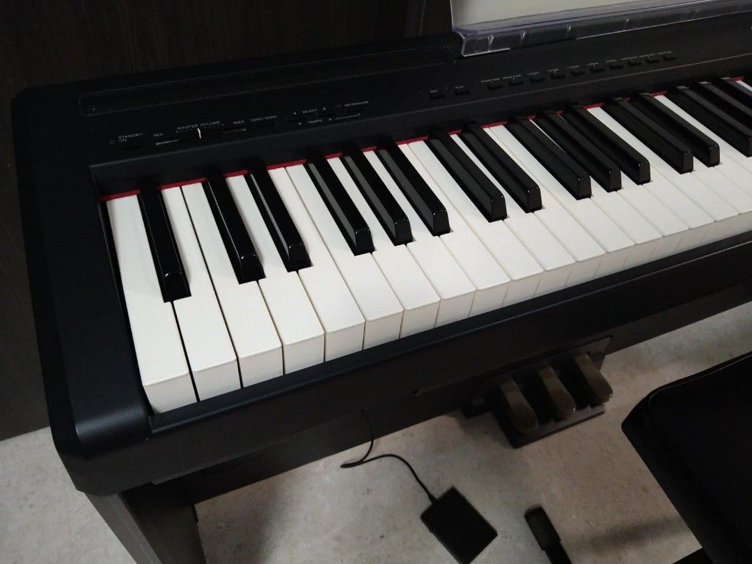 Yamaha Digital Piano P85, Hobbies & Toys, Music & Media, Musical